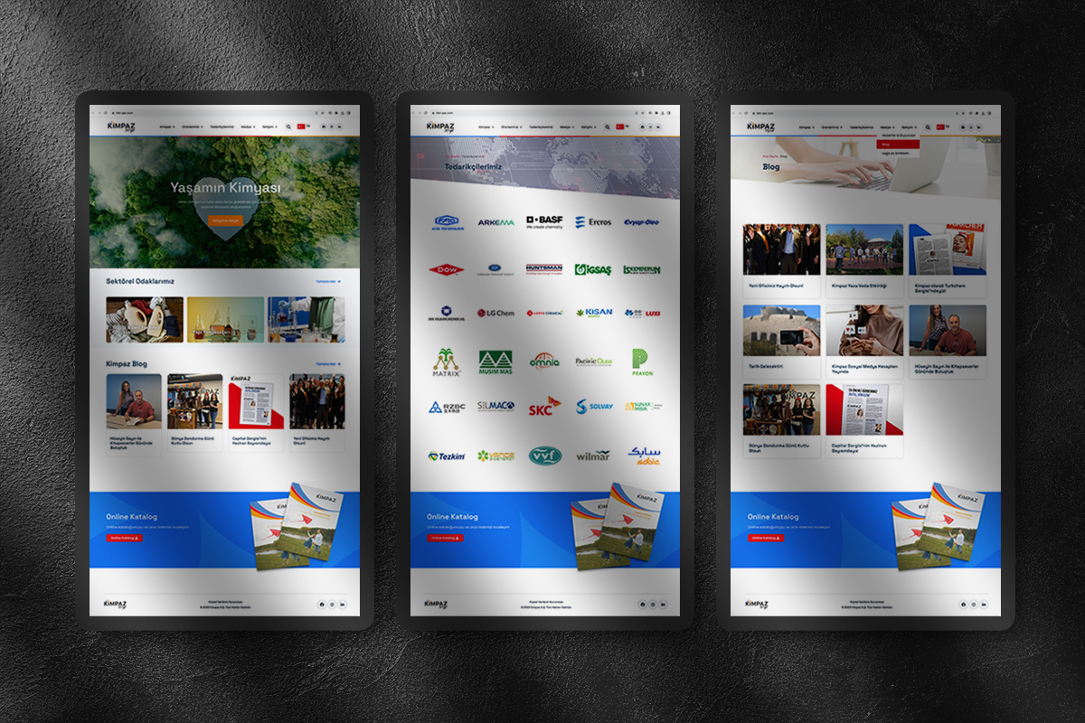 portfolio_step2